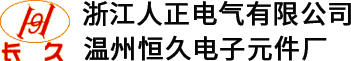 Wenzhou WangWei Electronics Co.,Ltd.